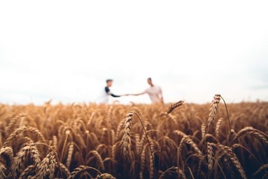 قطاع الإنتاج الزراعي والحيواني