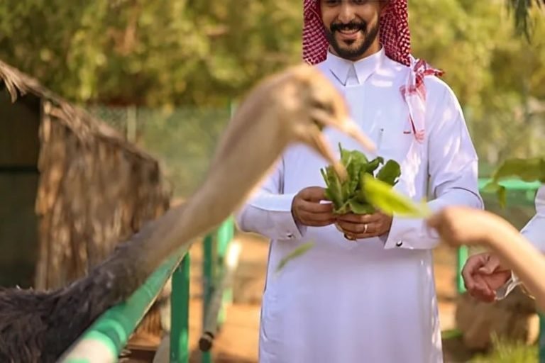 مشروع مزارع الأليفة