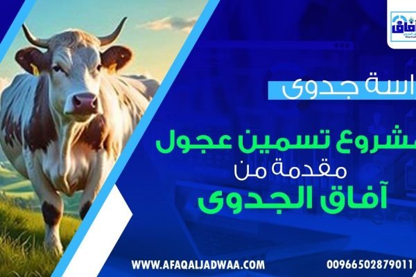 دراسة جدوى مشروع تسمين العجول